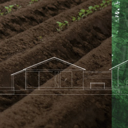 House with Farm and Grove