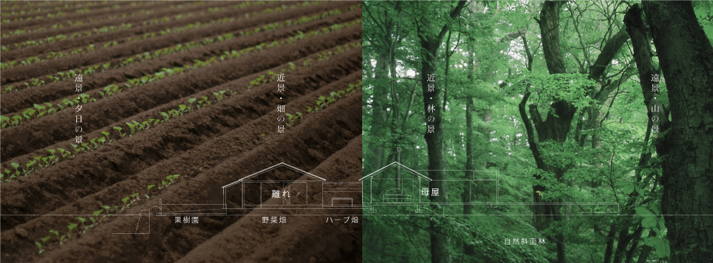 House with a Farm and a Grove