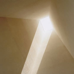 雑木林のまち-D棟