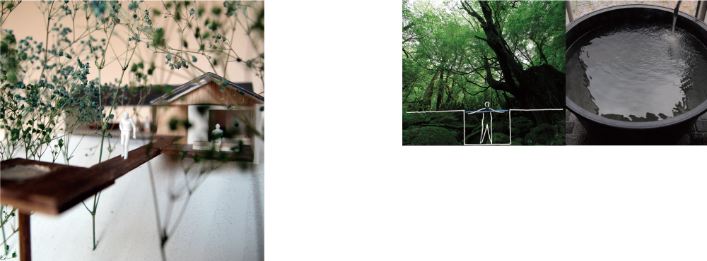 森のジャグージ