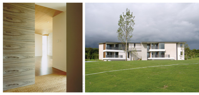 2010年年賀状-雑木林のまち